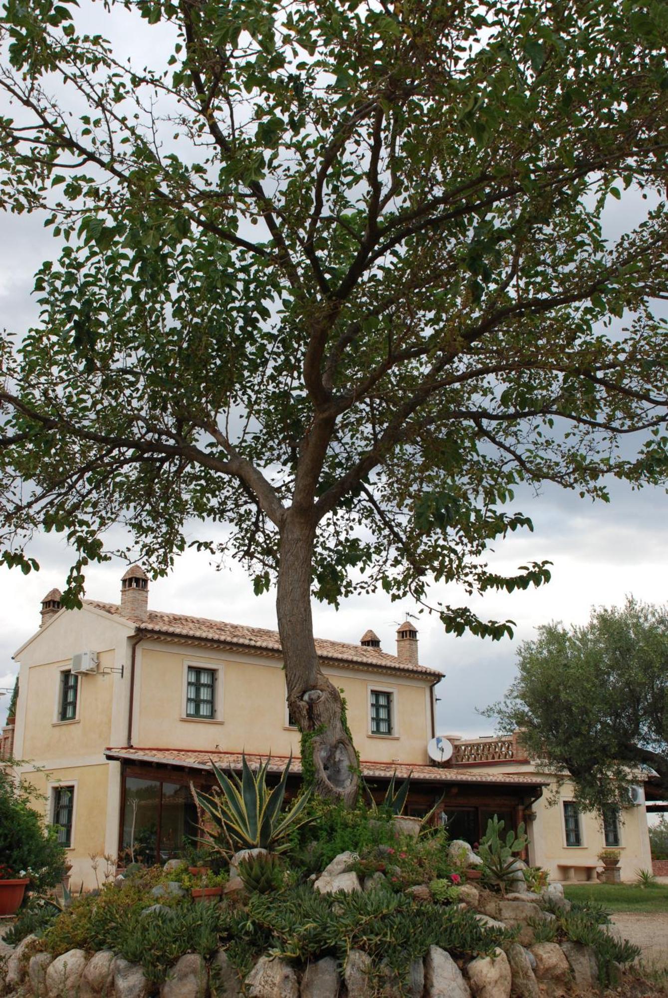Agriturismo Casacchella Marina di Sibari Zimmer foto